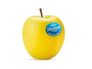 Apple Golden 